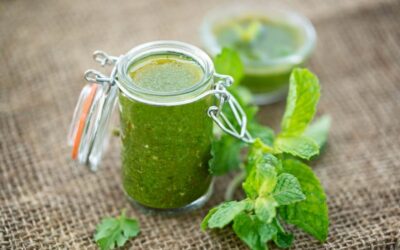 Mint Chutney